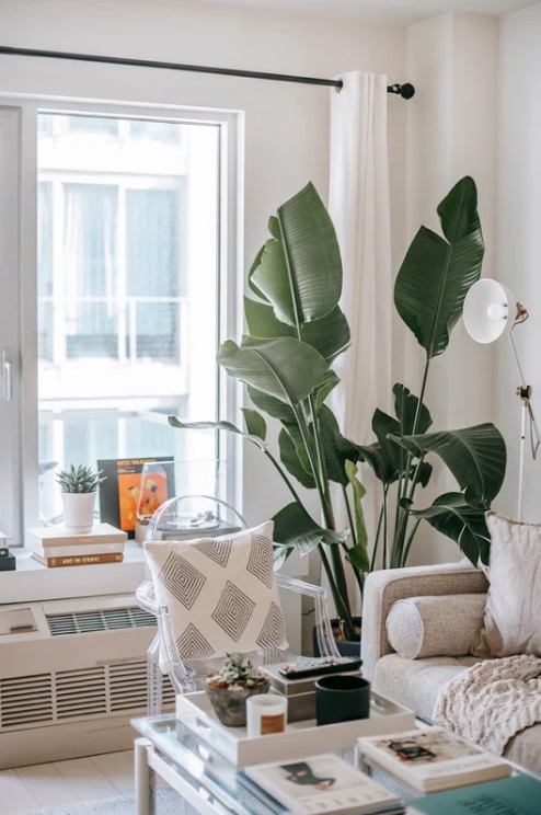 ¡Añade plantas en rincones de tu casa!